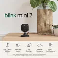 Blink Mini 2 (Newest Model)
