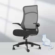 FLEXISPOT Comfy Office Chair for Heavy People (43% OFF)