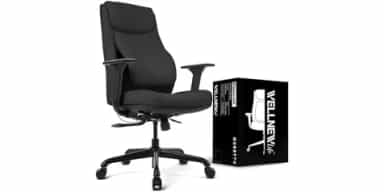 Wellnewlife Posturelift Office Chair, Black